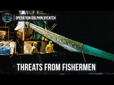 Trawler caught fishing without pingers threatens Sea Shepherd