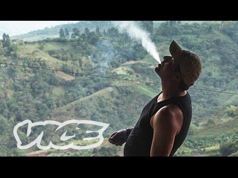 Kings of Cannabis