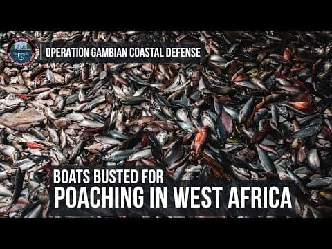 BOATS BUSTED FOR POACHING IN WEST AFRICA