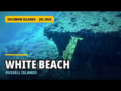 White Beach, Russell Islands, Solomon Islands | WWII Relics Dive
