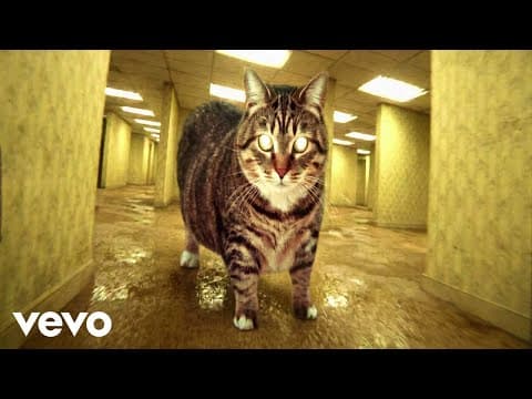 XertXetin - OIIA OIIA BACKROOMS ENDLESS Spinning CAT (Official Music Video)