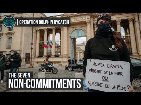 The Seven Non-Commitments of the French Government to Protect Dolphins