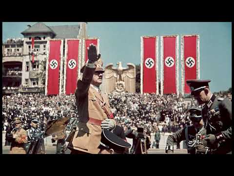 The 1933 book burnings