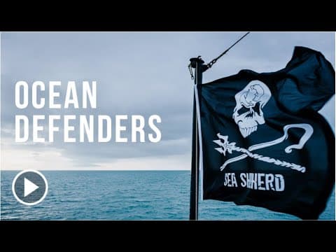 Ocean Defenders