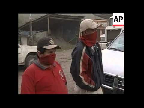 The 2002 Reventador eruption