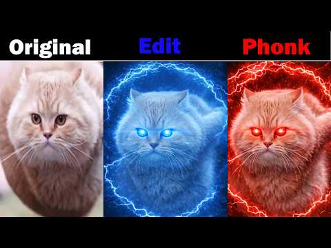 SPINNING FLYING CAT Original VS Edit VS Phonk | Flying cat meme