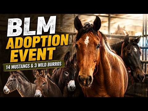 BLM Adoption Event!