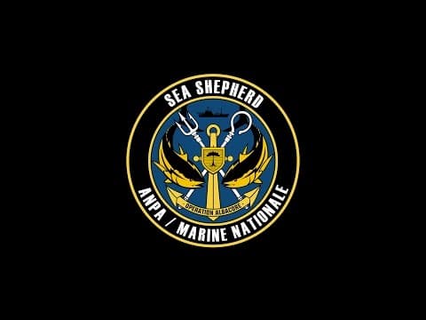 Operation Albacore: Captain Peter Hammarstedt Introduces New Campaign