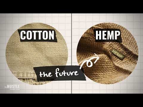 Hemp, the Billion-Dollar Crop That Wasn't