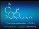 Mechoulam on cannabinoids and neuroprotection