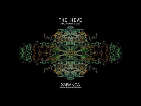 Xabanga at The Hive