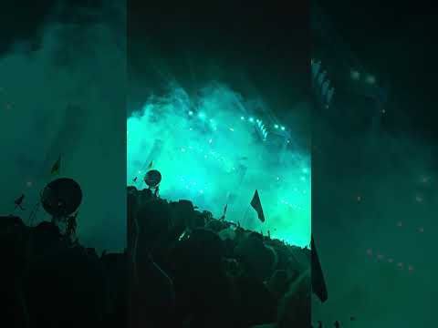 Skrillex at Boomtown 2026, Crowd Footage