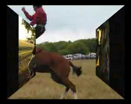 El gaucho argentino