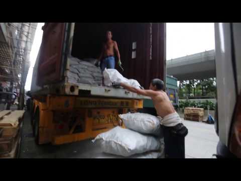 Operation Apex Harmony: Sea Shepherd Discovers Huge Shark Fin Shipments