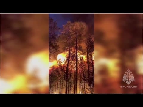 The 2019 Siberian megafires