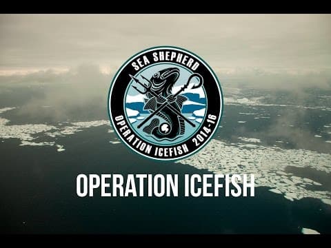 Illegal Fishing in Antarctica Shut Down by Sea Shepherd.