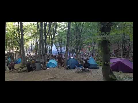 Dina and Shev playing a forest set