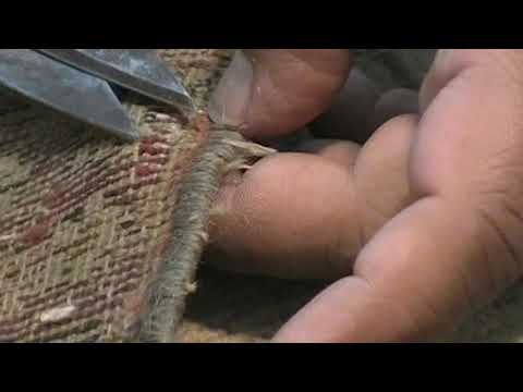Conservation process of 17th Century $34 million dollar group of rugs from William A. Clarke (4)