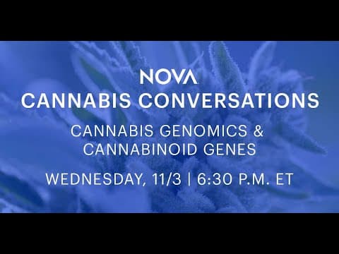 Cannabis genomics and cannabinoid genes with Daniela Vergara