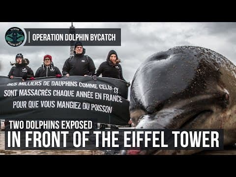 Dolphins Killed by Fishing Gear on Display in Paris