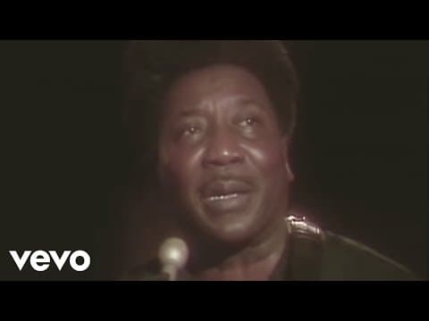 Muddy Waters - Hoochie Coochie Man
