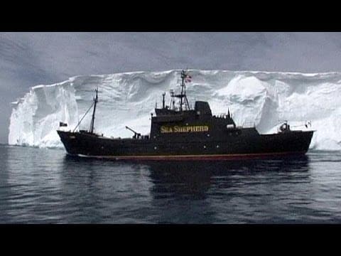 Sea Shepherd founder in court in Seattle after Japanese whalers threaten fines