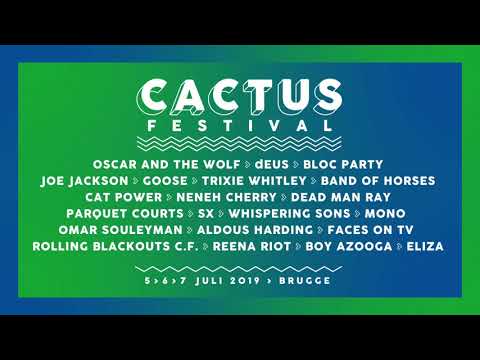 Cactusfestival 2019 - Teaser