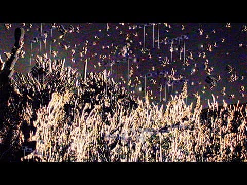 Oneohtrix Point Never - Measuring Ruins