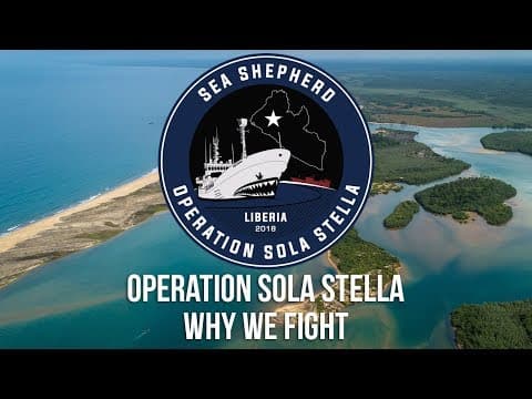 Operation Sola Stella: Why We Fight