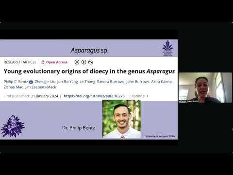Sexual strategies and chromosome evolution in Cannabis sativa