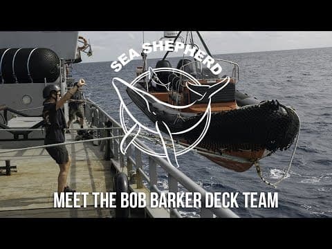 Meet the Deck Team on the M/Y Bob Barker