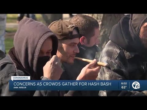 Detroit television covers the Hash Bash crowds