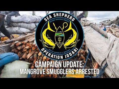 Campaign Update: Mangrove Smugglers Arrested
