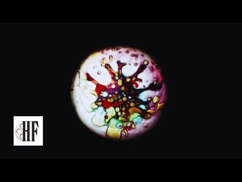 Psychedelic Liquid Light Show - Joshua's Lights at the Fillmore 1968