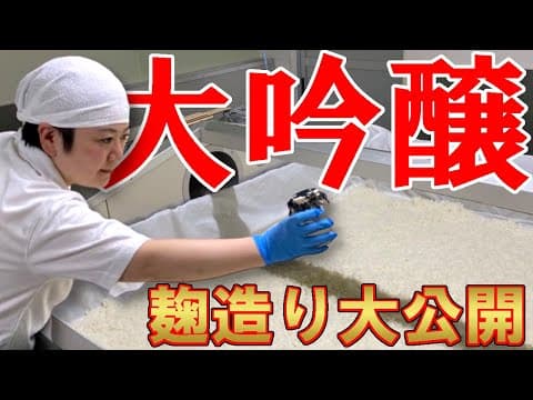 Koji Making for Daiginjo at Nadagiku Brewery