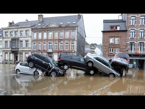 The 2021 European floods