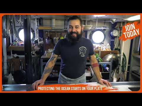 Meet Fabio, Chief Chef in the Sam Simon Galley