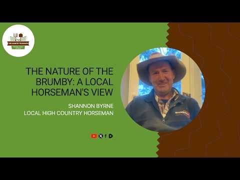 The nature of the Brumby: A local Horseman's view with Shannon Byrne on The Country Telegraph.