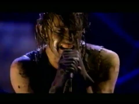 Nine Inch Nails: Burn, Woodstock '94