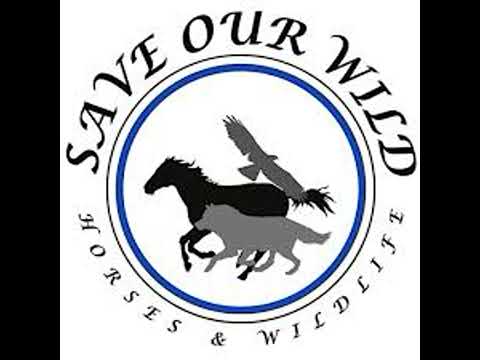”Voices Carry For Animals Podcast 520”- Save America’s Wild Horses