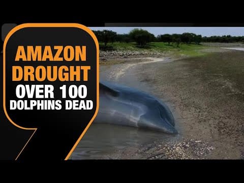 The 2023 Amazon drought