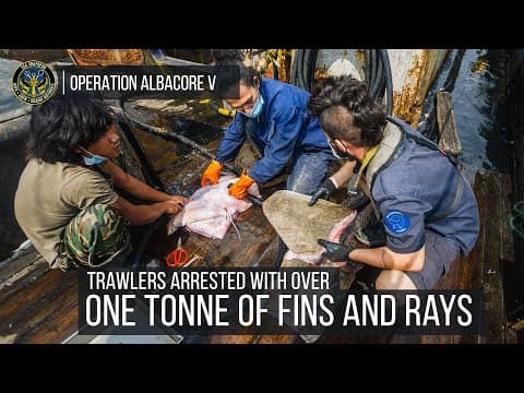 The Bob Barker busts illegal trawlers with over one tonne of fins and rays.