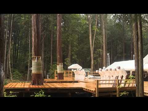 The 63rd Ise Shikinen Sengu: The Sacred Timber