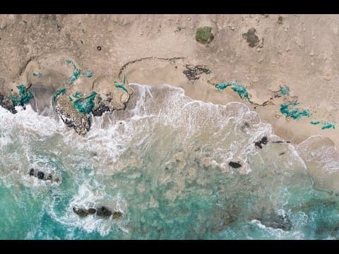 Before & After: Cleaning a Turtle Nesting Beach in Cabo Verde