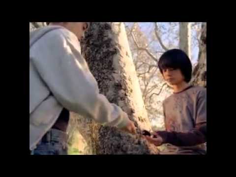 Pokéwalker - TV ad