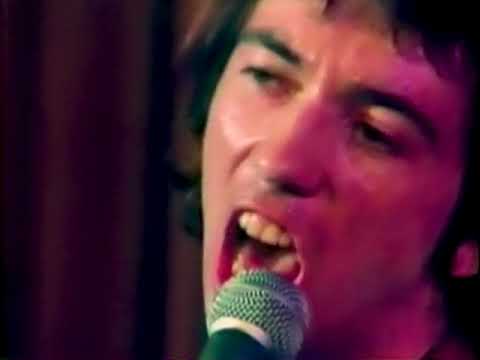 Buzzcocks - Ever Fallen in Love