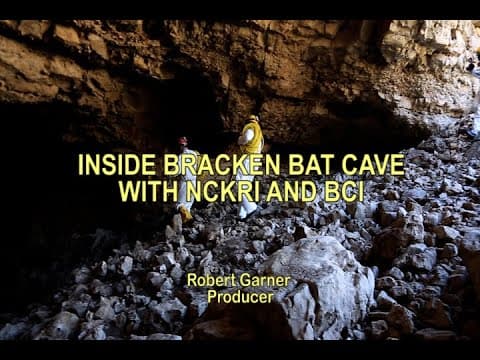 Inside Bracken Bat Cave