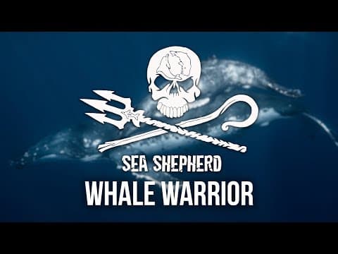 Become a Part-Time Whale Warrior