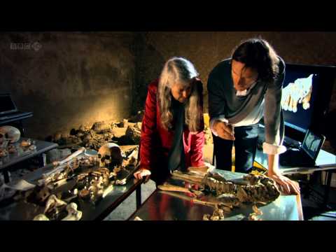 Mary Beard: Pompeii - Life and Death in a Roman Town