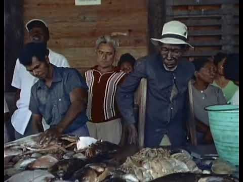 E35 The Fish That Swallowed Jonah - The Undersea World Of Jacques Cousteau - 23 May 1976